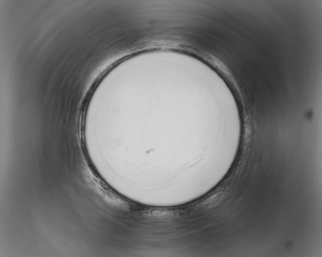 X0000115081035200912081207