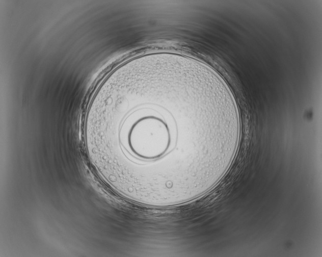 X0000115081036200912081207