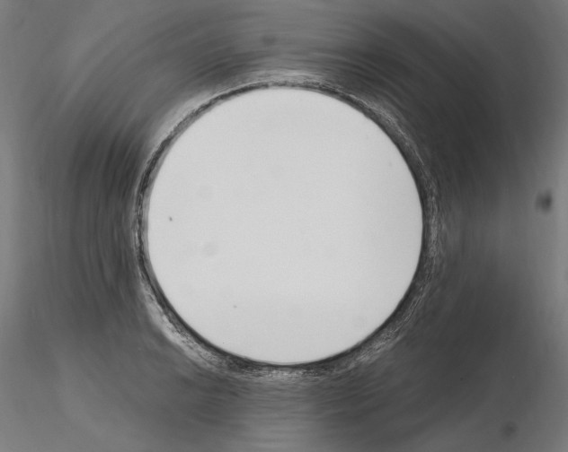 X0000115081038200912081207