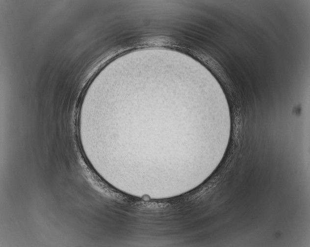 X0000115081039200912081207