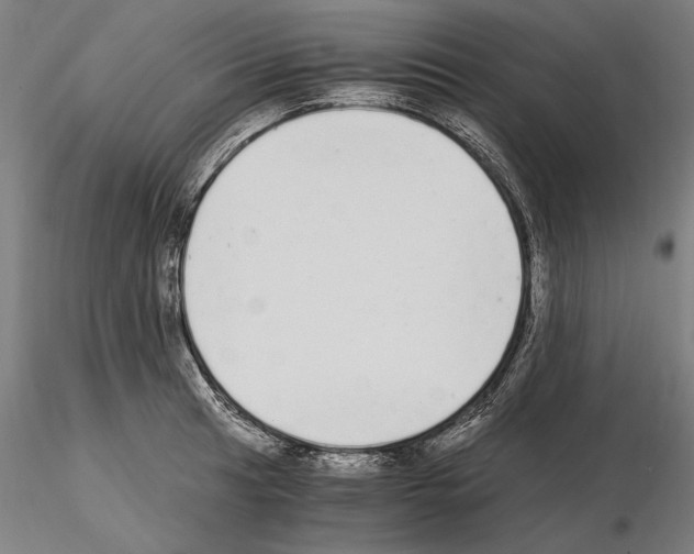 X0000115081041200912081207