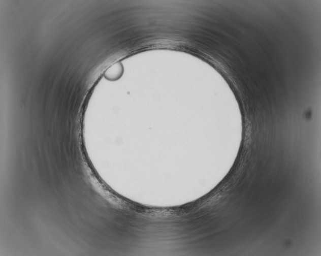 X0000115081042200912081207