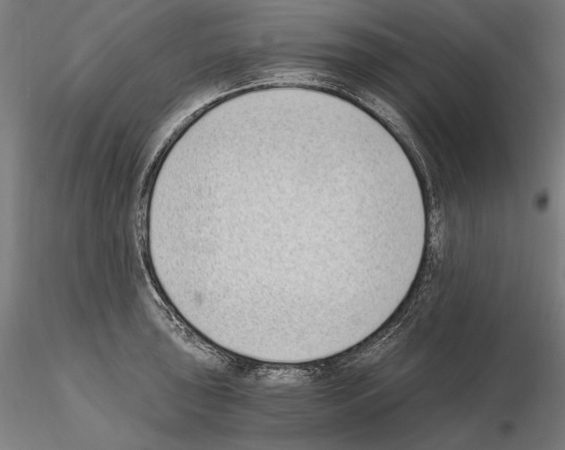 X0000115081043200912081207