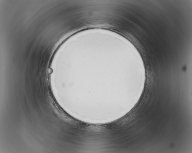 X0000115081044200912081207