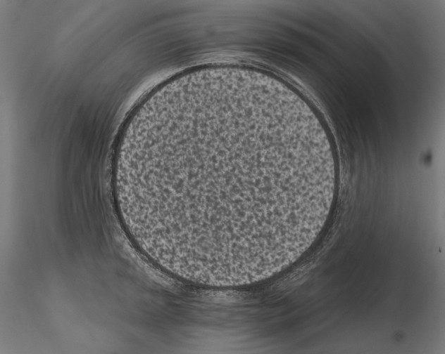 X0000115081045200912081207