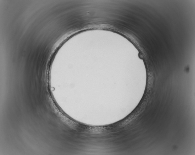 X0000115081046200912081207