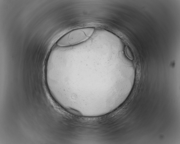 X0000115081047200912081207