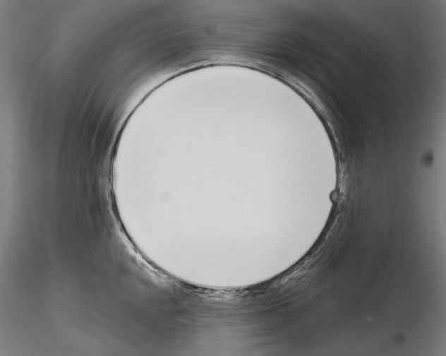 X0000115081048200912081207