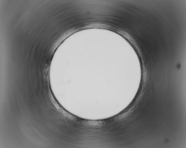 X0000115081049200912081207