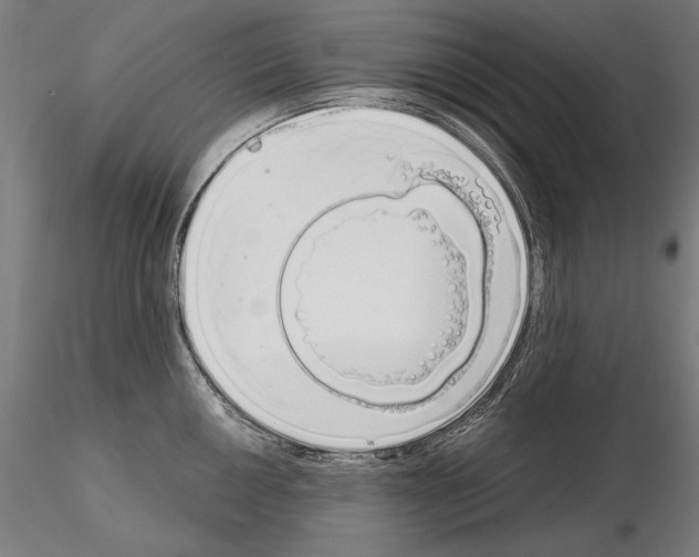 X0000115081050200912081207