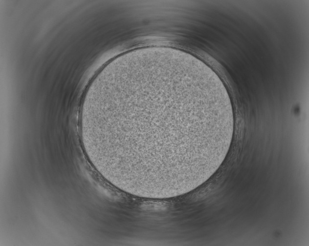 X0000115081051200912081207