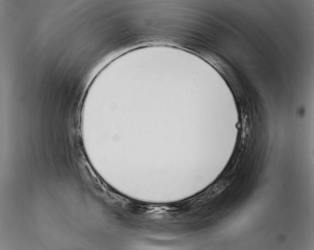 X0000115081052200912081207