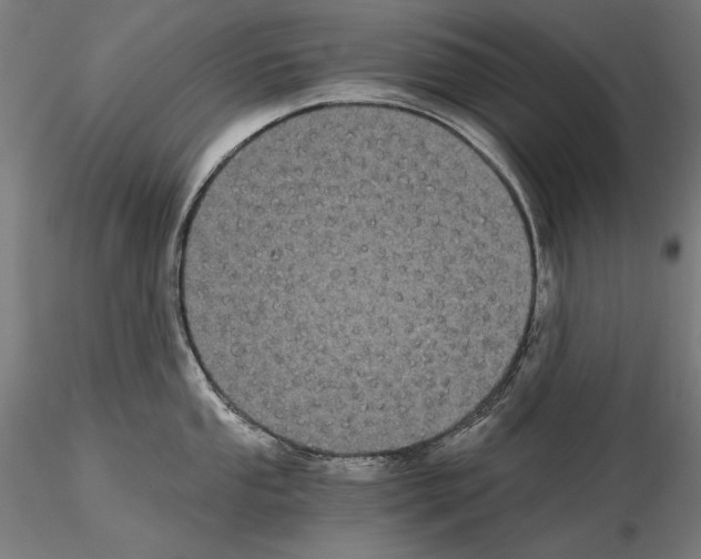 X0000115081053200912081207