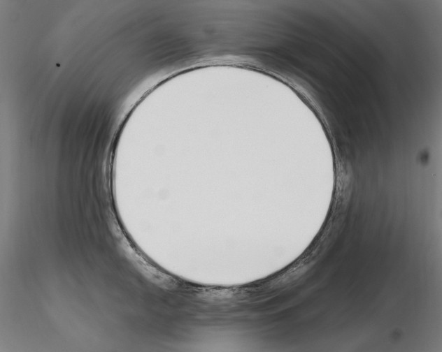 X0000115081054200912081207