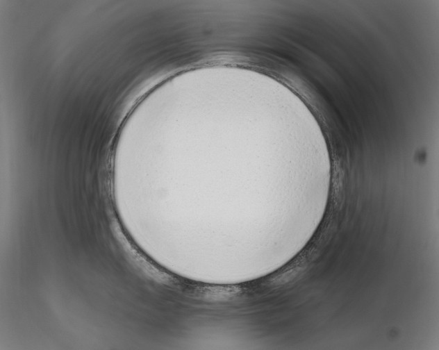 X0000115081055200912081207