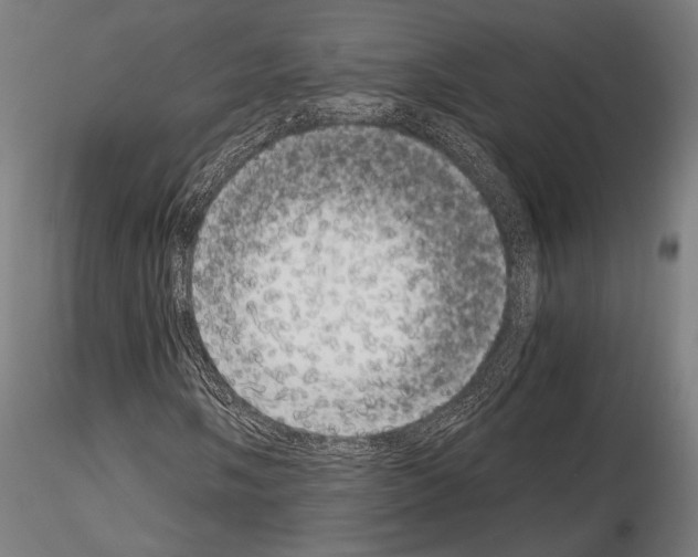 X0000115081058200912081206