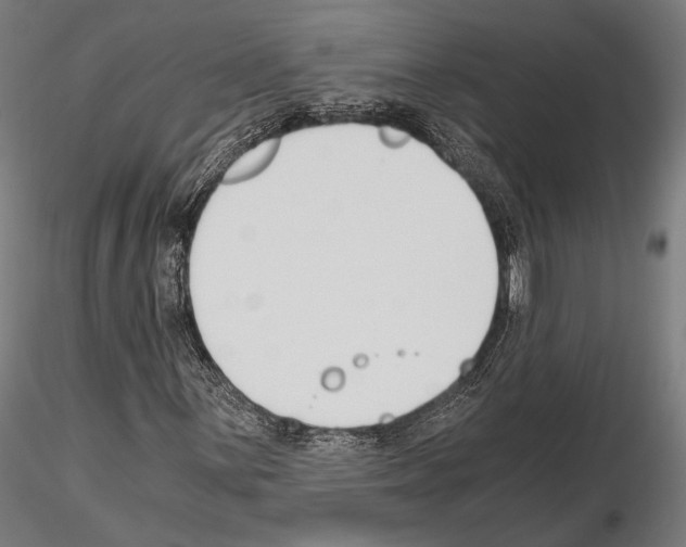 X0000115081059200912081206