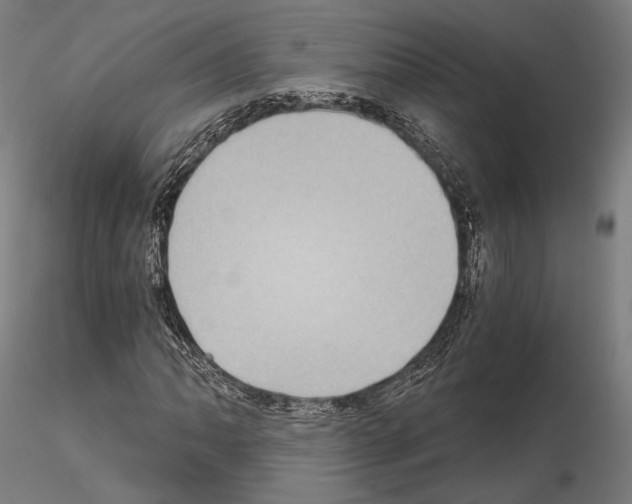 X0000115081062200912081206