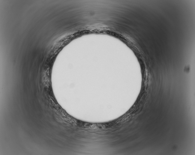 X0000115081063200912081206