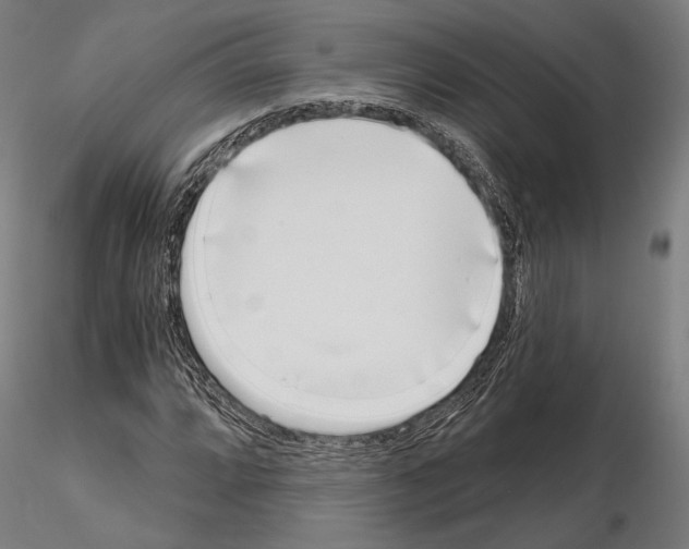 X0000115081064200912081206