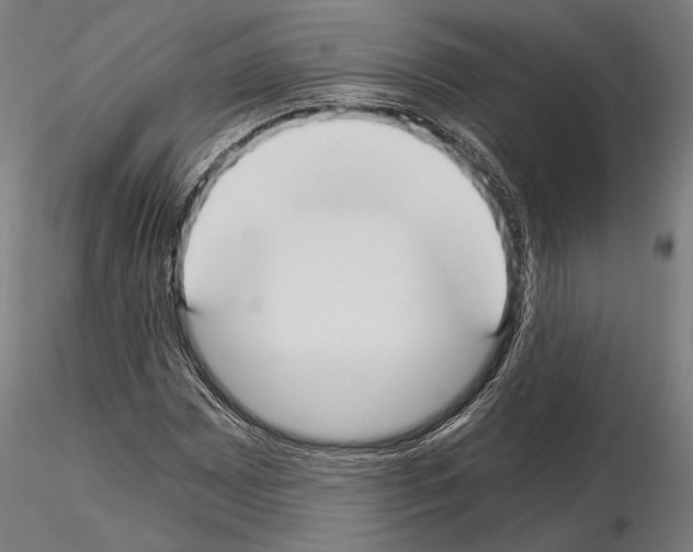 X0000115081065200912081206