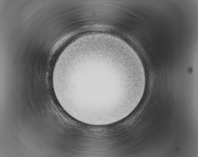 X0000115081066200912081206