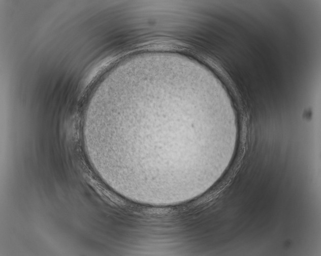 X0000115081067200912081206