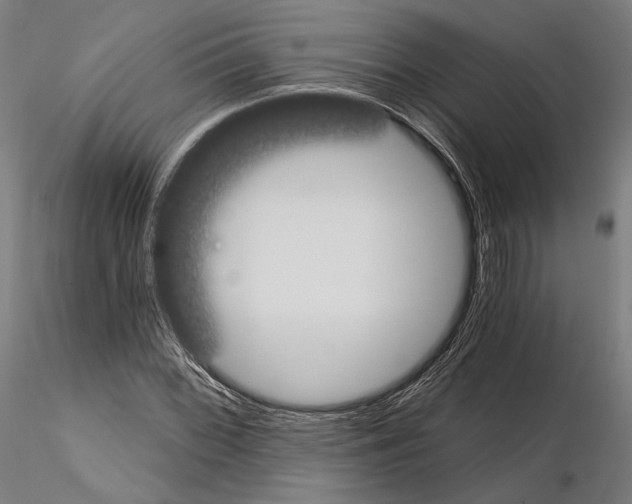 X0000115081068200912081206