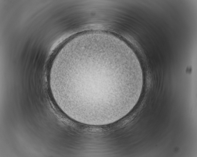 X0000115081070200912081206