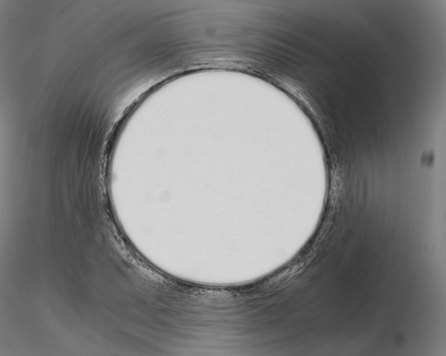 X0000115081071200912081206