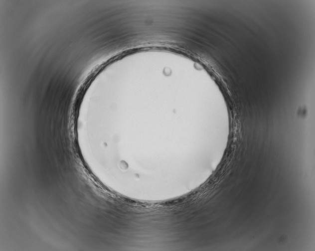 X0000115081072200912081206