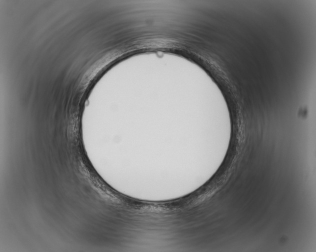 X0000115081073200912081206