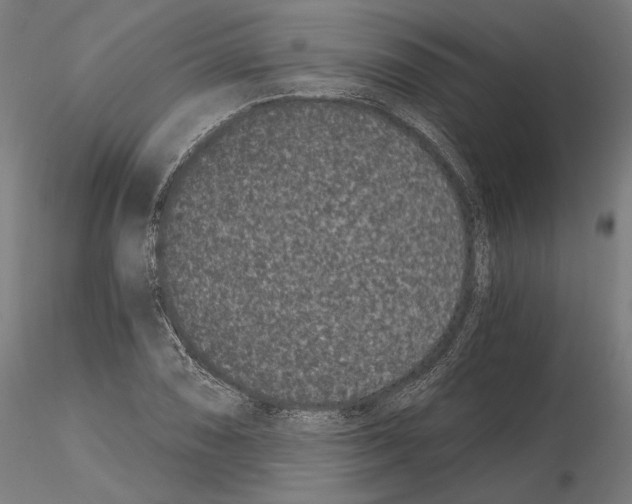 X0000115081074200912081206