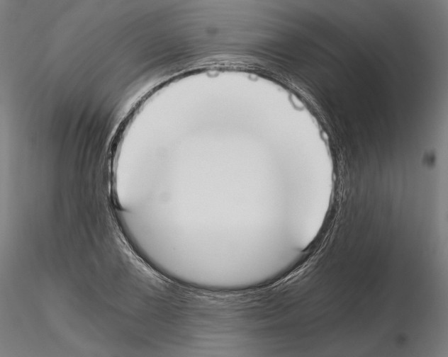 X0000115081075200912081206