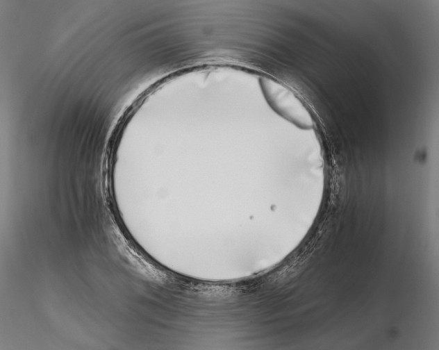 X0000115081076200912081206