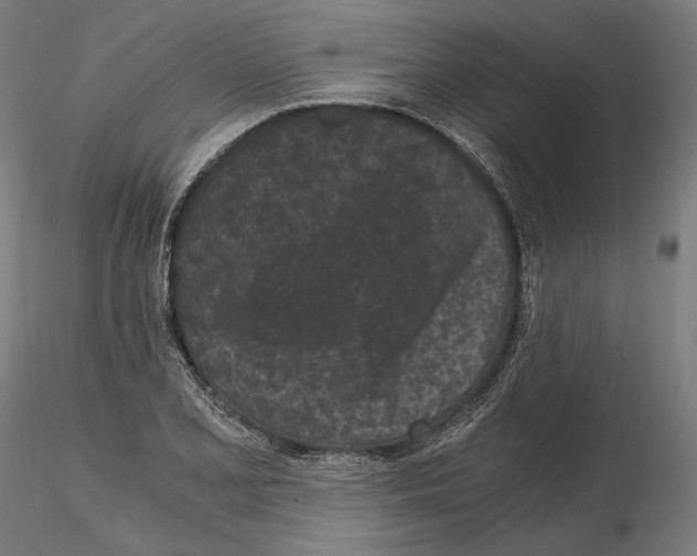 X0000115081077200912081206