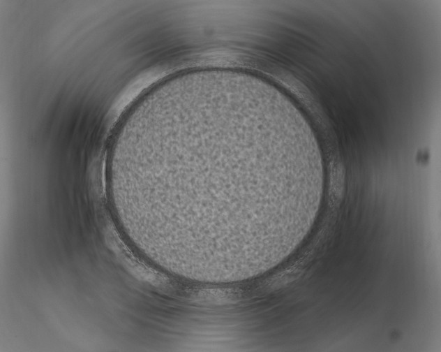 X0000115081078200912081206