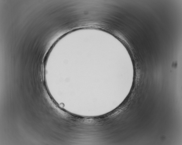 X0000115081079200912081206