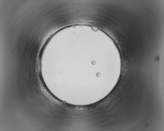 X0000115081080200912081206