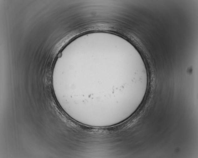 X0000115081081200912081206