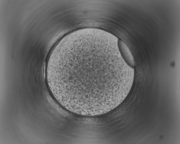 X0000115081084200912081206