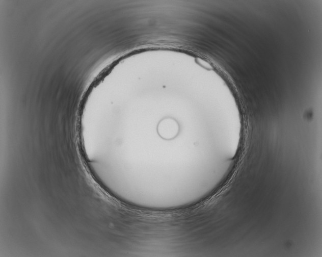 X0000115081085200912081206