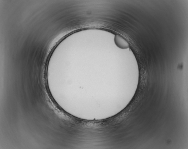 X0000115081086200912081206