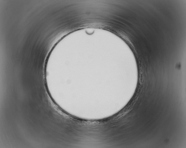 X0000115081087200912081206