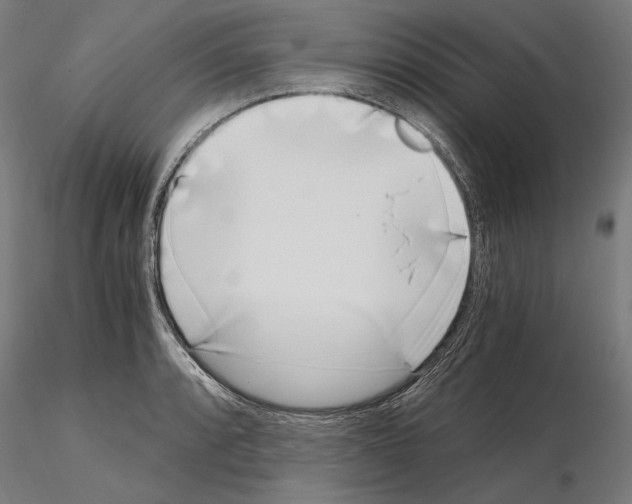 X0000115081088200912081206