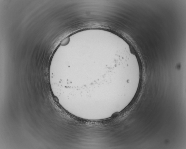 X0000115081089200912081206