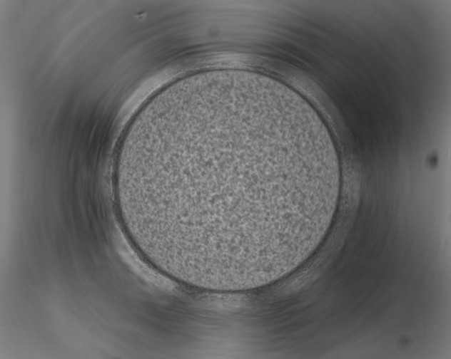 X0000115081090200912081206