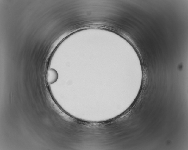 X0000115081091200912081206