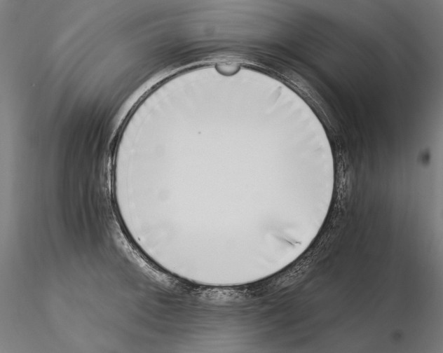 X0000115081092200912081206