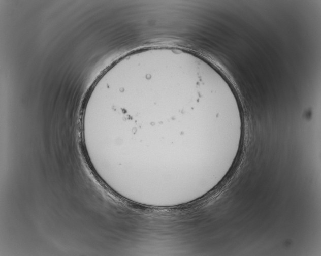 X0000115081093200912081206